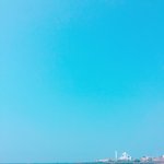 [댓글부탁해] <b>밤중</b>에 개들한테 공격받음