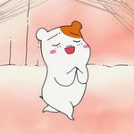 <b>햄스터</b> 두마리키우면 서로 잡아먹어?