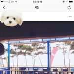 [EXO] 세훈이랑 이 차 사진이랑 뭔 관계있냐?