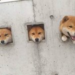 [굿<b>나잇</b>] ~~~~잘장~~~~~