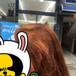 [머리개망함] 11만원주고 머리 주황색 알록달록 <b>빗자루</b> 만들고옴