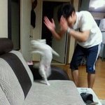 [EXO] <b>서로</b>바로보는 쉬싸쉬싸