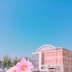 [댓글부탁해] 나 아이폰인데 <b>푸디</b> 카메라