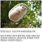 [댓글부탁해] 아리따움 섀도우 조합