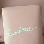 [세븐틴] 플디 <b>오타</b> 모음집