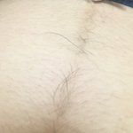 약혐주의ㅠㅠㅠㅠㅠㅠ배 털 ..