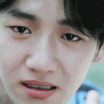 [EXO] 백현이 <b>정직</b>하다는거 반박하시는 분 ??