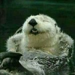 [굿<b>나잇</b>] ~~~~~~잘자셈~~~~~~