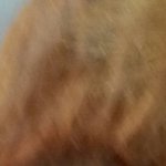 하시방 염색고자좀 살려줘 지금 <b>이색</b>인데