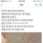 [EXO] 몽<b>룡</b>이 ㅜ 귀엽다