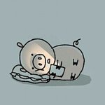 나만 <b>섀도</b> 안모으냫ㅎㅎㅎ