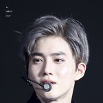 [EXO] 근데 ㄹㅇ코 크지도 <b>작지</b>도않네