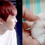 [EXO] 김민석닮은 <b>햄</b><b>찌</b>키우고싶다