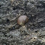 [내가한요리] 자취4년차 남자요리 14탄!!