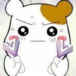 [세븐틴] ㅅㄷ미안한뎅