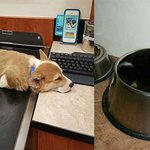 여기서 주무시면 안돼요!(<b>feat</b>.멍뭉)