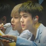 [EXO] <b>옆선</b> ㄷㅂ