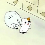 [드루와] 짝남이 너무 귘옄웤