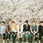[방탄소년단] 난 아니쥬들으면 눈물날라그래