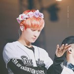 [EXO] 야 얘 글에 추천박아라