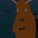 [스타일<b>쉐어</b>] 스쉐에서 꼭 보이는거ㅎㅎ
