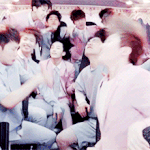 [세븐틴] 캐럿떨..