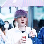 [EXO] 박찬열이 파스텔 <b>머리</b>를 <b>한</b>적이 있나? 했는데