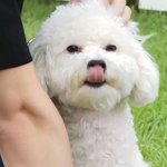 [EXO] 비비 보면 볼수록 조카 귀<b>여우</b>