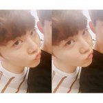 [세븐틴] 짤파티나 해 <b>이</b> <b>바보</b>같은 캐럿들아!!...