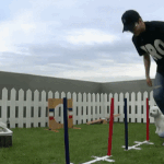 [VIVI] <b>저도</b> 비비한테 입덕했는데