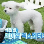 [세훈] 160802 엑소멘<b>터리</b> 비하인드 비비컷