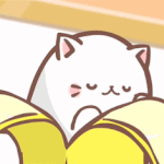 [하이큐] 학교별로 최애써보자