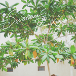 [방탄소년단] 썸패 기사뜸!!