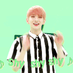 [세븐틴] <b>최소</b> 세젤귀