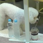 [EXO] 귀여워...<b>두부</b>같아