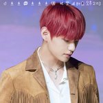 [방탄소년단] 이사진 좀 주라ㅠ