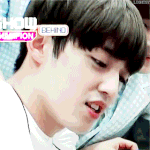 [세븐틴] 짤파뤼