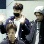 [뉴트] 왕온니 집에 있을<b>고임</b>ㅎㅎ