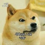 [댓글부탁해] 나만 <b>라면</b> 안먹어?