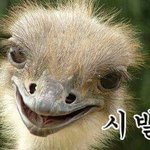 [세븐틴] 플디야 육하<b>원칙</b> 몰라?