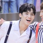 [세븐틴] 아 차라리 내가 <b>대신</b> 아프고싶다