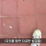 [EXO] 척킹애미들 현실도피 오<b>지노</b>