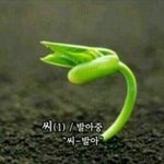 내가 욕먹는이유
