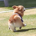 [EXO] 섹시한 엉덩이짤 <b>뿌림</b>