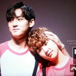 [세븐틴] ㅋㅋㅋㅋㅋㅋㅋㅋㅋㅋㅋㅋㅋㅋㅋ