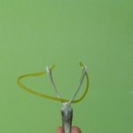 [드루와] 얔ㅋㅋ나 치킨 먹고 닭뼈로 새총 <b>만듬</b>ㅋㅋㅋ