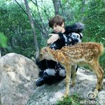 [루한] 사슴 과 노루(狍子) 둘다 상징하는 루한