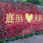 [루한] 도묘<b>필기</b> 제작발표회 레드카펫과 화환