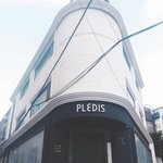 [세븐틴] ㅅㄷ 너네 플레디스 실제로 가 봄?