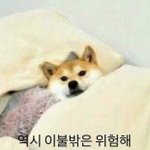 [댓글부탁해] 너희는 요즘 <b>무슨낙</b>에 살아?